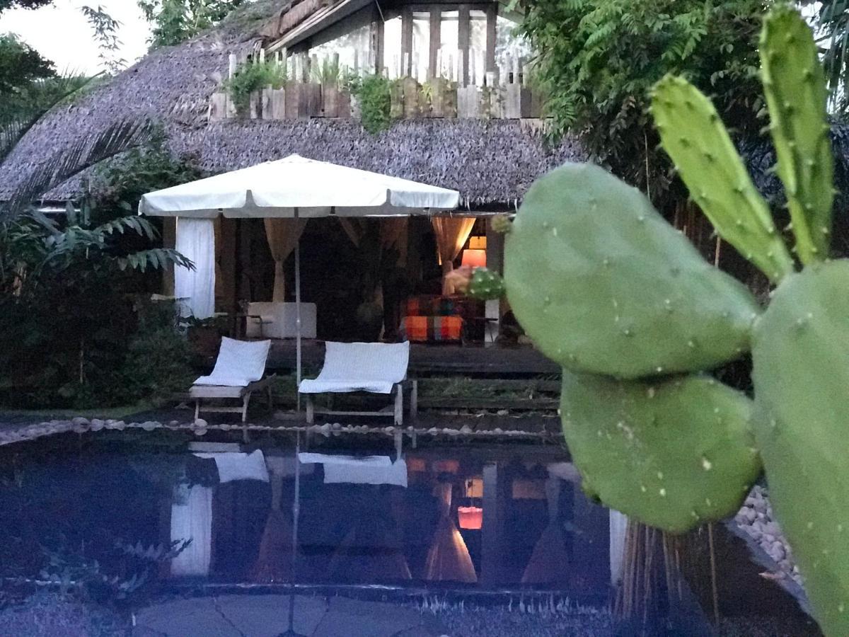 チャン島 Maddekehaoo Eco Mansion Bed & Breakfast エクステリア 写真