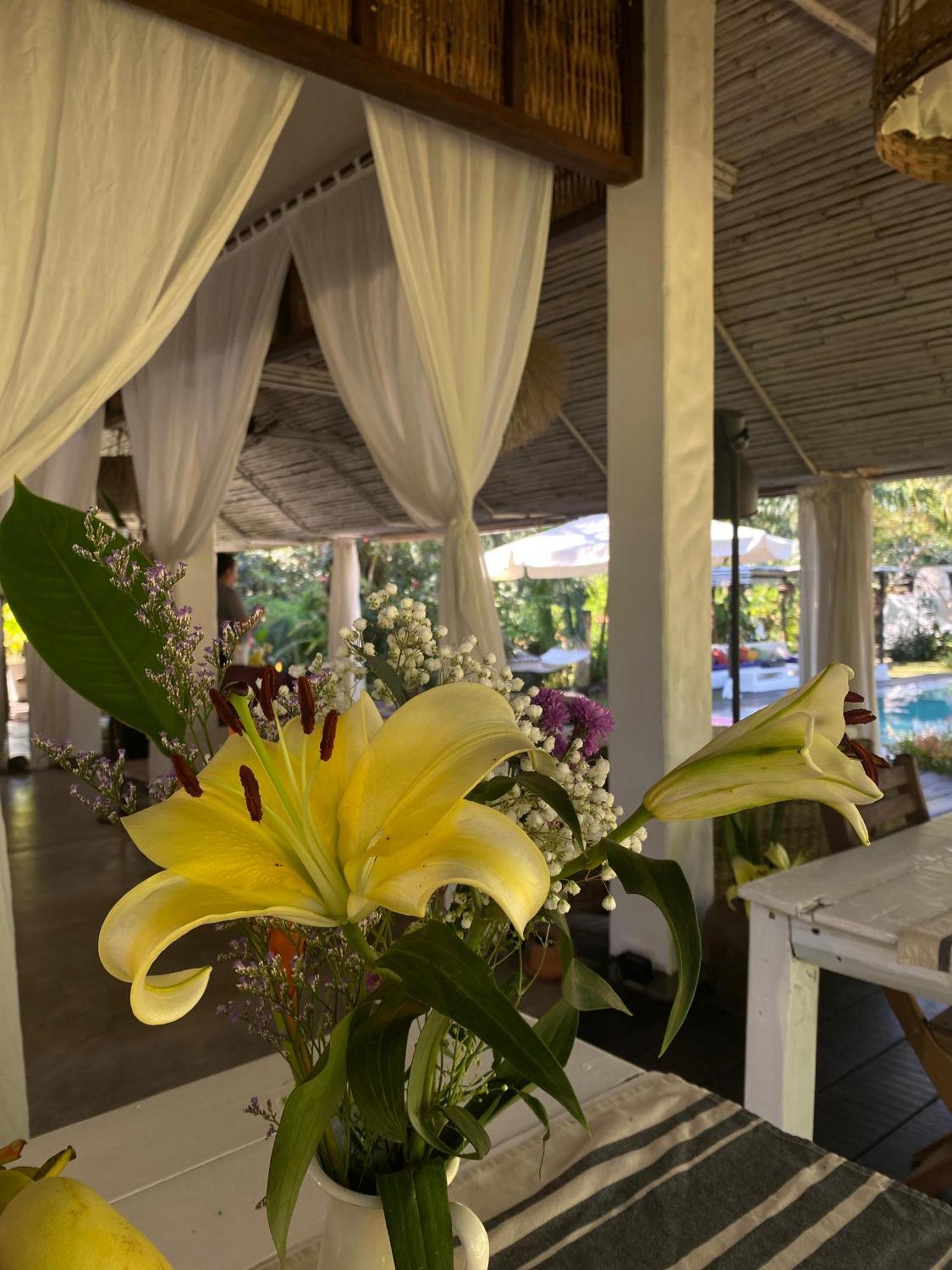 チャン島 Maddekehaoo Eco Mansion Bed & Breakfast エクステリア 写真
