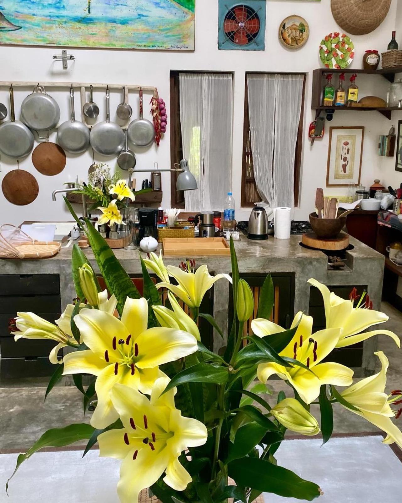 チャン島 Maddekehaoo Eco Mansion Bed & Breakfast エクステリア 写真