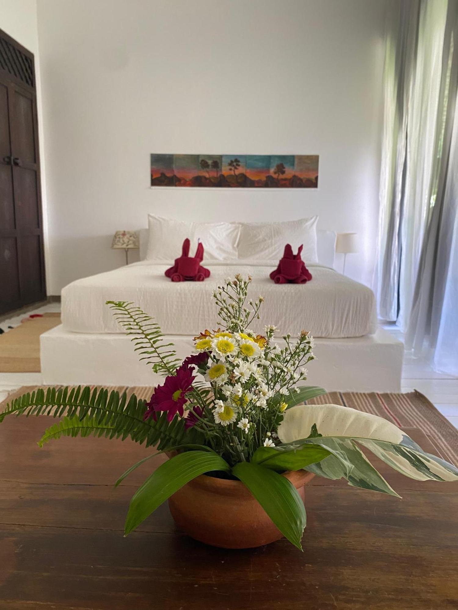 チャン島 Maddekehaoo Eco Mansion Bed & Breakfast エクステリア 写真